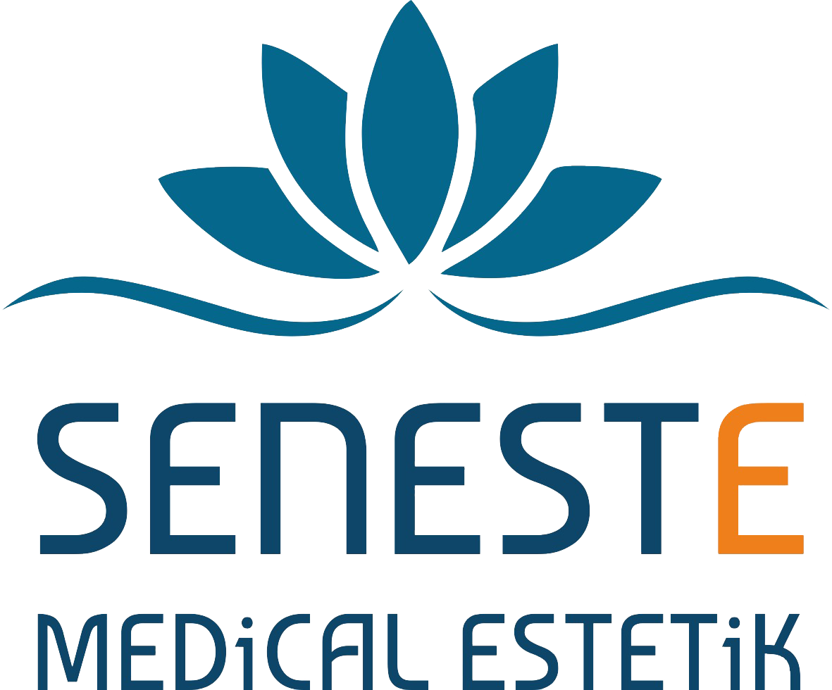 Seneste Logo
